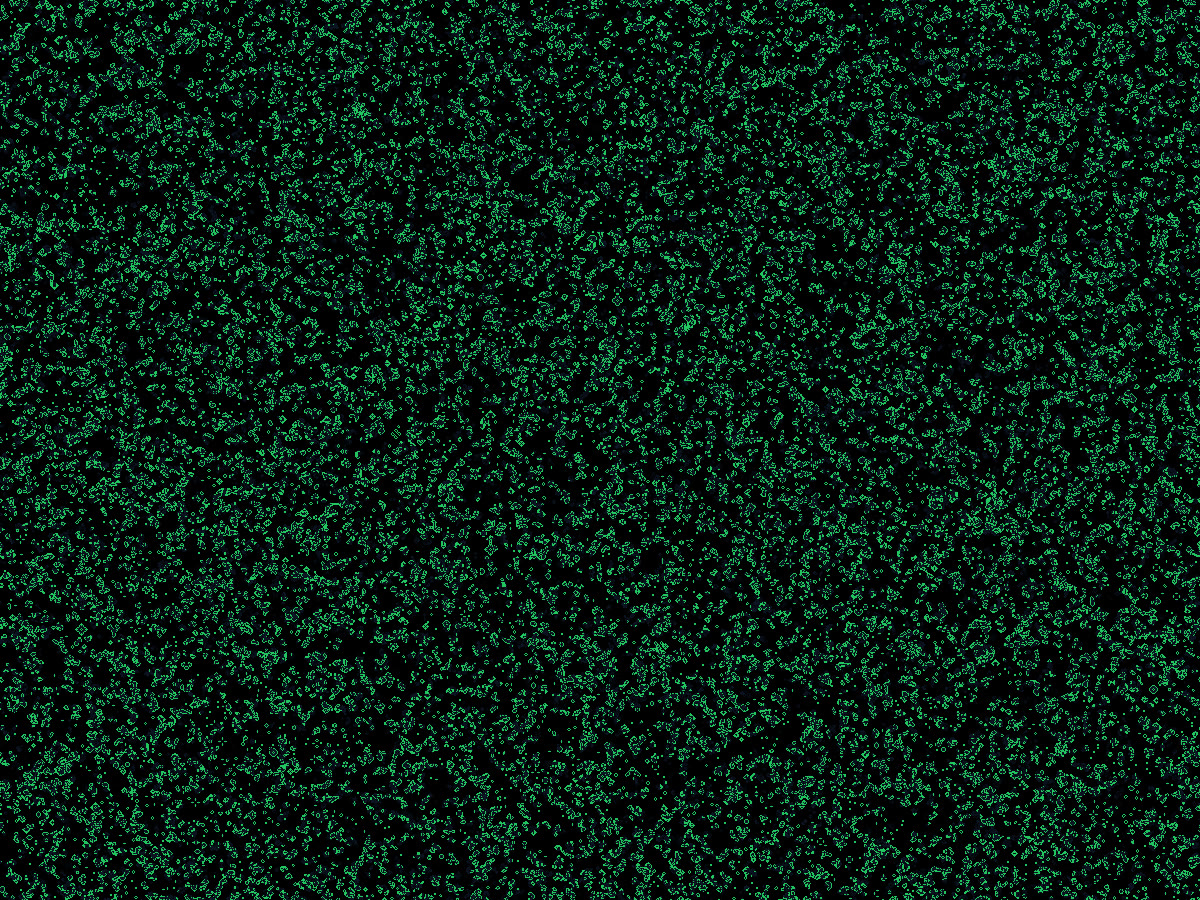 Demo post 4